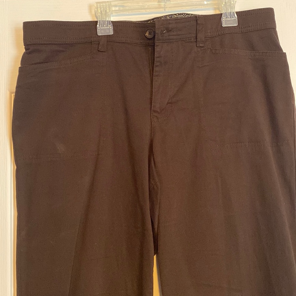 Size 14 S Gloria Vanderbilt Brown pants